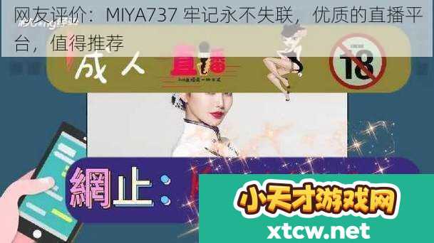网友评价